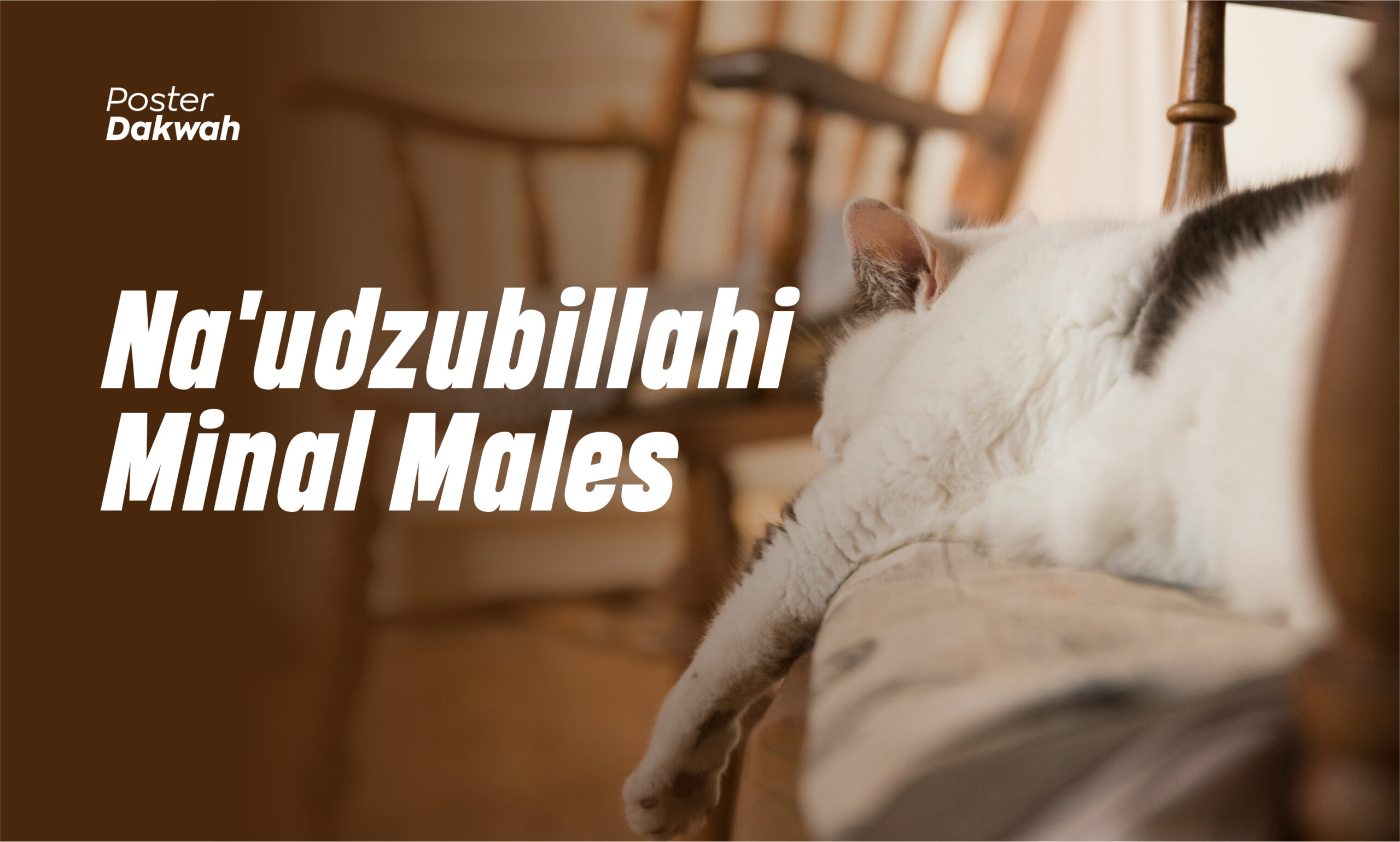 Nega mening mushukim shishib ketgan?